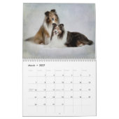 Sheltie Calendar Kalender (Mar 2027)