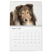 Sheltie Calendar Kalender (Feb 2027)
