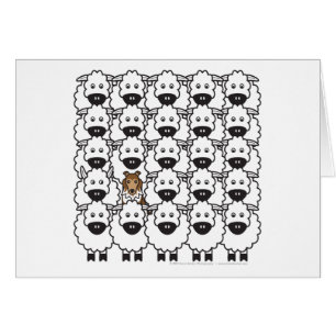 Sheltie chez les moutons