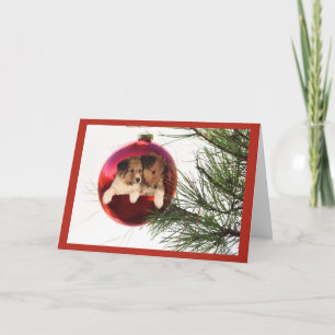 Sheltie Christmas Kaart Ball Hanging