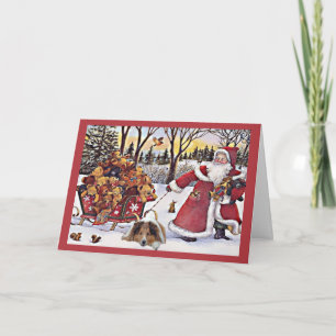 Sheltie Christmas Kaart Santa Beren in Sleigh