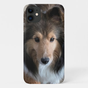 Sheltie Coque Smartphone