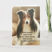 Sheltie dankt u kaardt