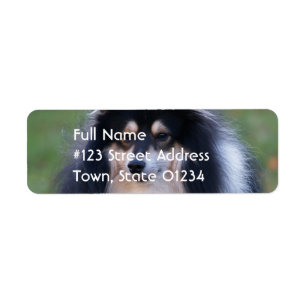 Sheltie Dog Return Label