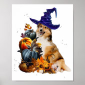 Sheltie Dog Witch en Pumpkins Halloween Thanksgiv Poster (Voorkant)