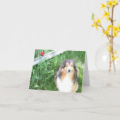 Sheltie et carte de note de tulipe (Fleur jaune)