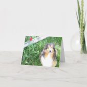 Sheltie et carte de note de tulipe (Devant)