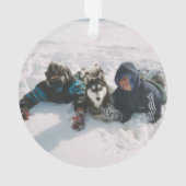 Sheltie et Husky s'amusent dans la neige (dos)