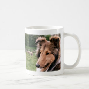 Sheltie et tasse de moutons