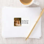 Sheltie Etiket (Insitu)