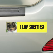 Sheltie, ik LUV SHELTIES. Bumpersticker (Op auto)