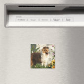 Sheltie in bloemen magneet (Insitu (Vaatwasser))