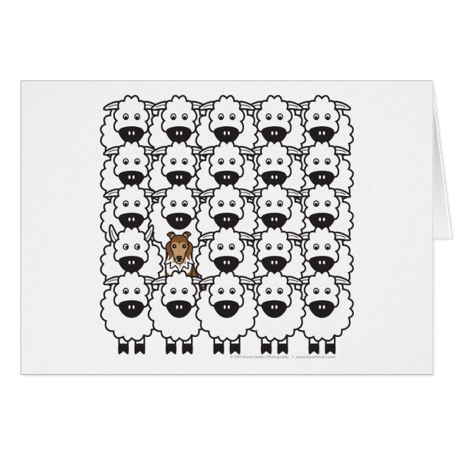 Sheltie in de schapen (Voorkant Horizontaal)