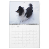 Sheltie Kalender 2024 (Jan 2026)