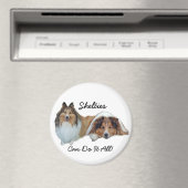 Sheltie Magnet Magneet (Insitu (Vaatwasser))