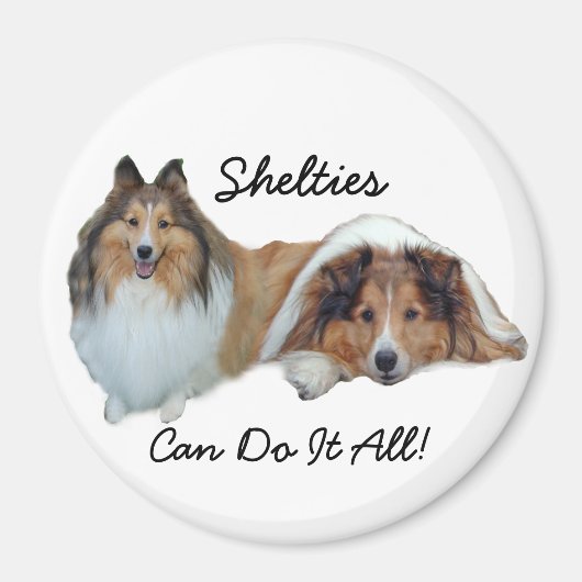 Sheltie Magnet Magneet (Voorkant)