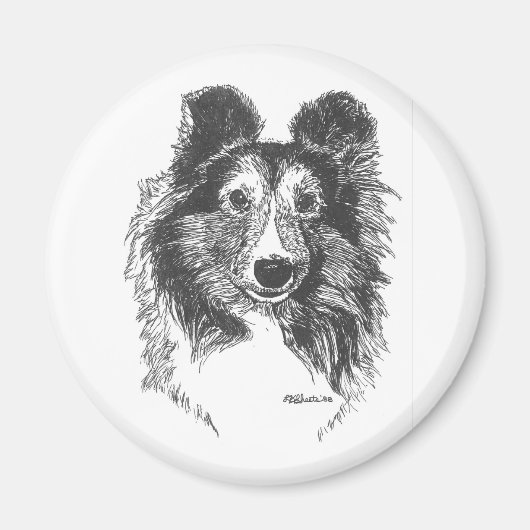Sheltie Magnet Magneet (Voorkant)