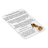 Sheltie Magnet Magneet (Rechterzijde)