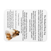 Sheltie Magnet Magneet (Horizontaal)