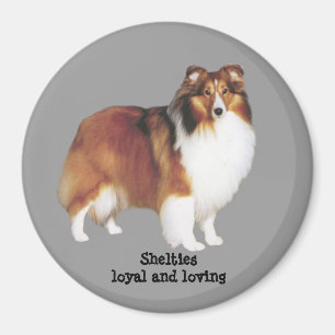 Sheltie Magnet Magneet