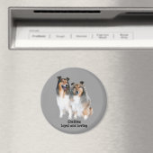 Sheltie Magnet Magneet (Insitu (Vaatwasser))