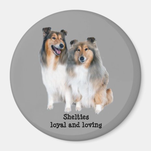 Sheltie Magnet Magneet (Voorkant)