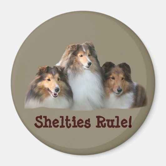 Sheltie Magnet Magneet (Voorkant)