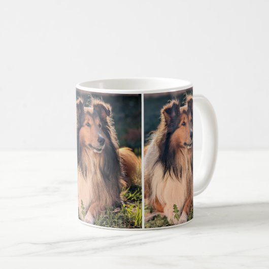 Sheltie Mug (Devant droit)