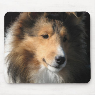 Sheltie Muismat