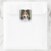 Sheltie Portrait Vierkante Sticker (Tas)