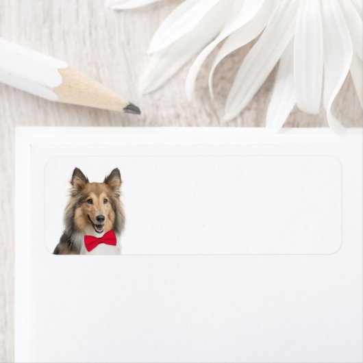 Sheltie Return Label (Insitu)