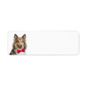 Sheltie Return Label (Voorkant)