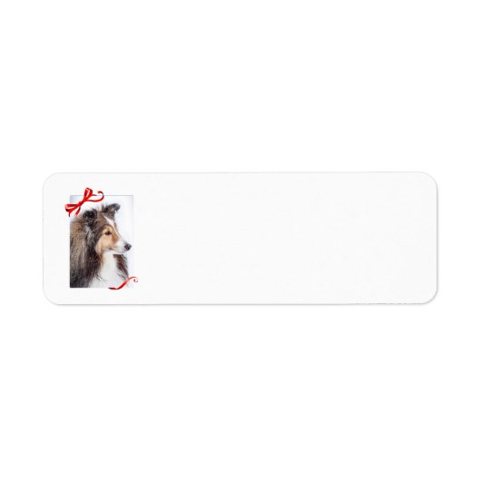 Sheltie Return Label (Voorkant)