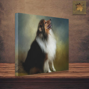 Sheltie Shetland Sheep Dog Canvas Afdruk