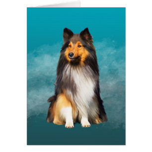 Sheltie Shetland Sheepdog Art Portrait