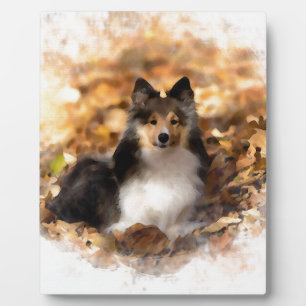 Sheltie Shetland Sheepdog kunstschilderij Fotoplaat