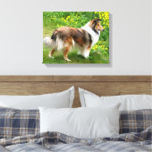 Sheltie Shetland Sheepdog Schilderij Canvas Afdruk (Insitu (Slaapkamer))