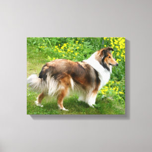 Sheltie Shetland Sheepdog Schilderij Canvas Afdruk