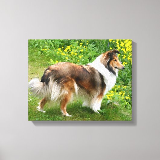 Sheltie Shetland Sheepdog Schilderij Canvas Afdruk (Voorkant)