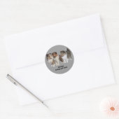 Sheltie Sticker (Envelop)