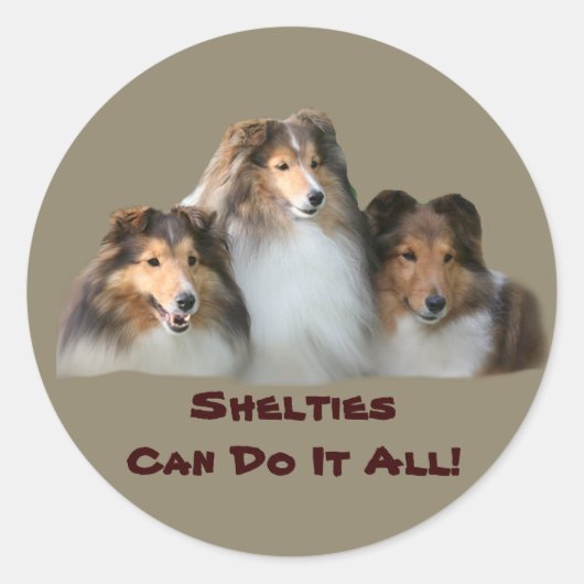Sheltie Sticker (Voorkant)