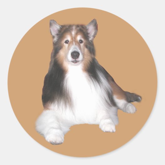 Sheltie Sticker (Voorkant)