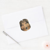 Sheltie Stickers (Envelop)