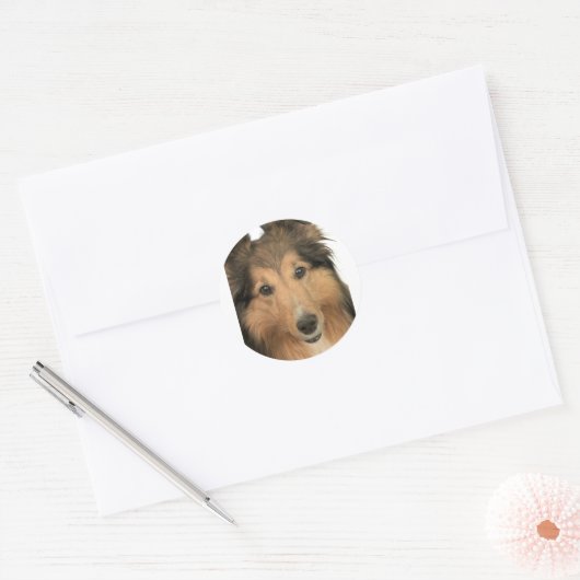 Sheltie Stickers (Envelop)