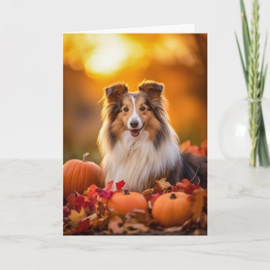 Sheltie Thanksgiving Feestdagen Kaart (Voorkant)