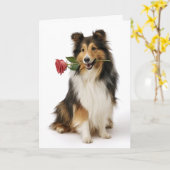 Sheltie Valentijn Kaart (Gele Bloem)