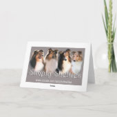 Sheltie Verjaardag Kaart (Achterkant)