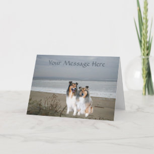 Sheltie Wenskaart Kaart