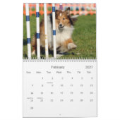 Shelties et tisse le calendrier d'agilité (Feb 2027)