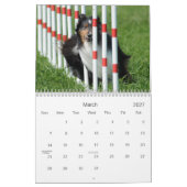 Shelties et tisse le calendrier d'agilité (Mar 2027)
